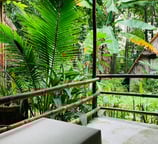 Spacious twin-bed room with large windows overlooking the tropical vegetable garden.
