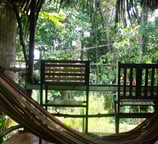 Bright garden-view room with two separate beds and air conditioning, ideal for comfort seekers.