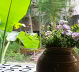 Bright garden-view room with two separate beds and air conditioning, ideal for comfort seekers.