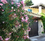 a house with a bunch of flowers on the side of the house