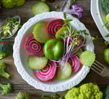 e-book sur graines germées et recettes