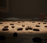 crotte de rat souris sous evier