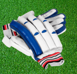 Cricket gloves