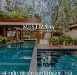 mestiza 15 tulum, real estate investment mexico, tulum investment properties, beach view