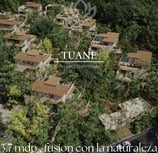 a large group of houses with a view of a forest