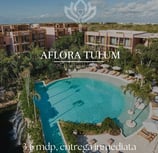 aflora tulum, como funciona la preventa de departamentos en mexico