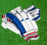 Cricket gloves