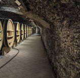 Wine cellar with big wooden oak barrels Provence