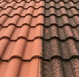 Dachreinigung vergelichsbild