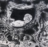 An ink drawing of a fetus inside a cave.