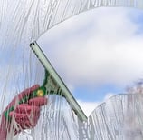 professional Window cleaning