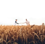 a farmer shaking hands with someone in a wheat fields