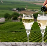Champain served in glasses with vineyards