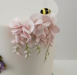 Bee Sugar Work