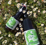Les Bier'ouettes de la Brasserie d'Amboise : les saisonnières avec la bière de Printemps
