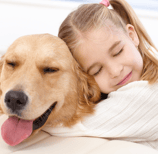 a girl with her golden retriever