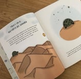 Trufi en el desierto del Sahara