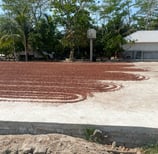 champ de cacao