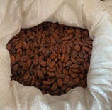 cacao sac criollo blanc