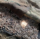 sac de cacao