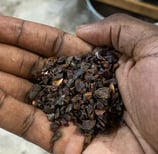paume de main cacao