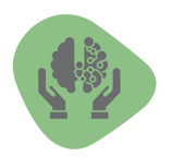 An illustration of a brain being held in a pair of hands to represent curiosity