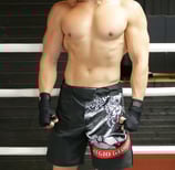 custom made mma shorts, mma , mma briefs