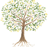 tree rotted in craft and raised in quality