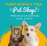 gato e cachorro