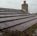 a roof having moss removed in malvern