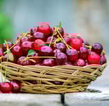 basket of juicy cherries from Provence