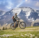 Mountain biking in the Alps with flowers and snow