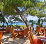 Cannes Lerins islands restaurant
