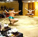 Sumo demonstration with dinner