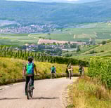 Biking in Alsace in vineyards