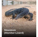 Nswaswa