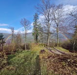 Forêt de Lutzelbourg avec arc-en-ciel
