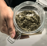 a person holding a jar of mugwort herb