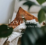 instagram home sacré plante intérieur