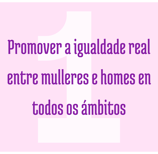 promover a igualdade real entre mulleres e homes