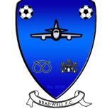 a blue shield with a soccer ball and a soccer ball