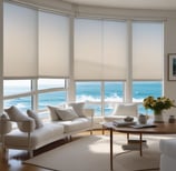 Roller Blind Options