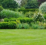 Landscaped Gardens Throughout the Project