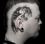 Tatouage crane corbeau nordique viking. Skull tattoo crow