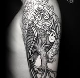 Tatouage épervier nordique viking. Nordic hawk tattoo.