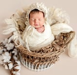 newborn-photo-sample-four