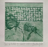 Papillon trèfle gravure eau-forte