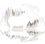a moose moose moose moose moose moose moose moose moose moose moose moose moose moose moose