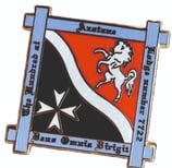 Cut to shape Pin Badge