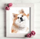 peinture aquarelle, portrait de chien akita inu par Morgane Bouiller